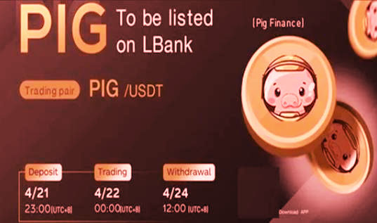下载最新版猪币兑换APP